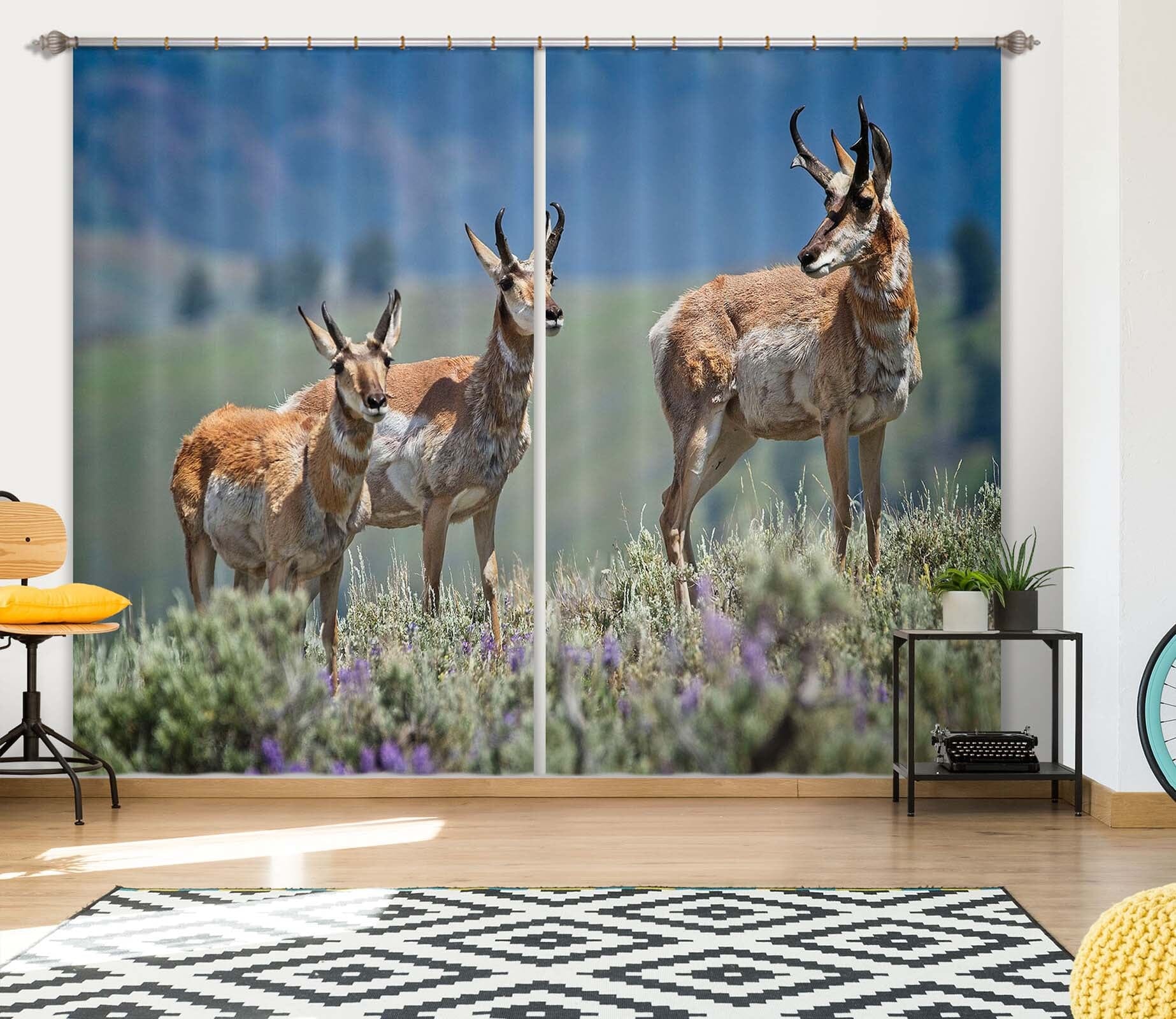 3D Pronghorn Antelope 041 Kathy Barefield Curtain Curtains Drapes Curtains AJ Creativity Home 