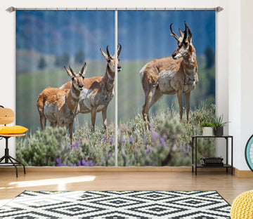 3D Pronghorn Antelope 041 Kathy Barefield Curtain Curtains Drapes Curtains AJ Creativity Home 
