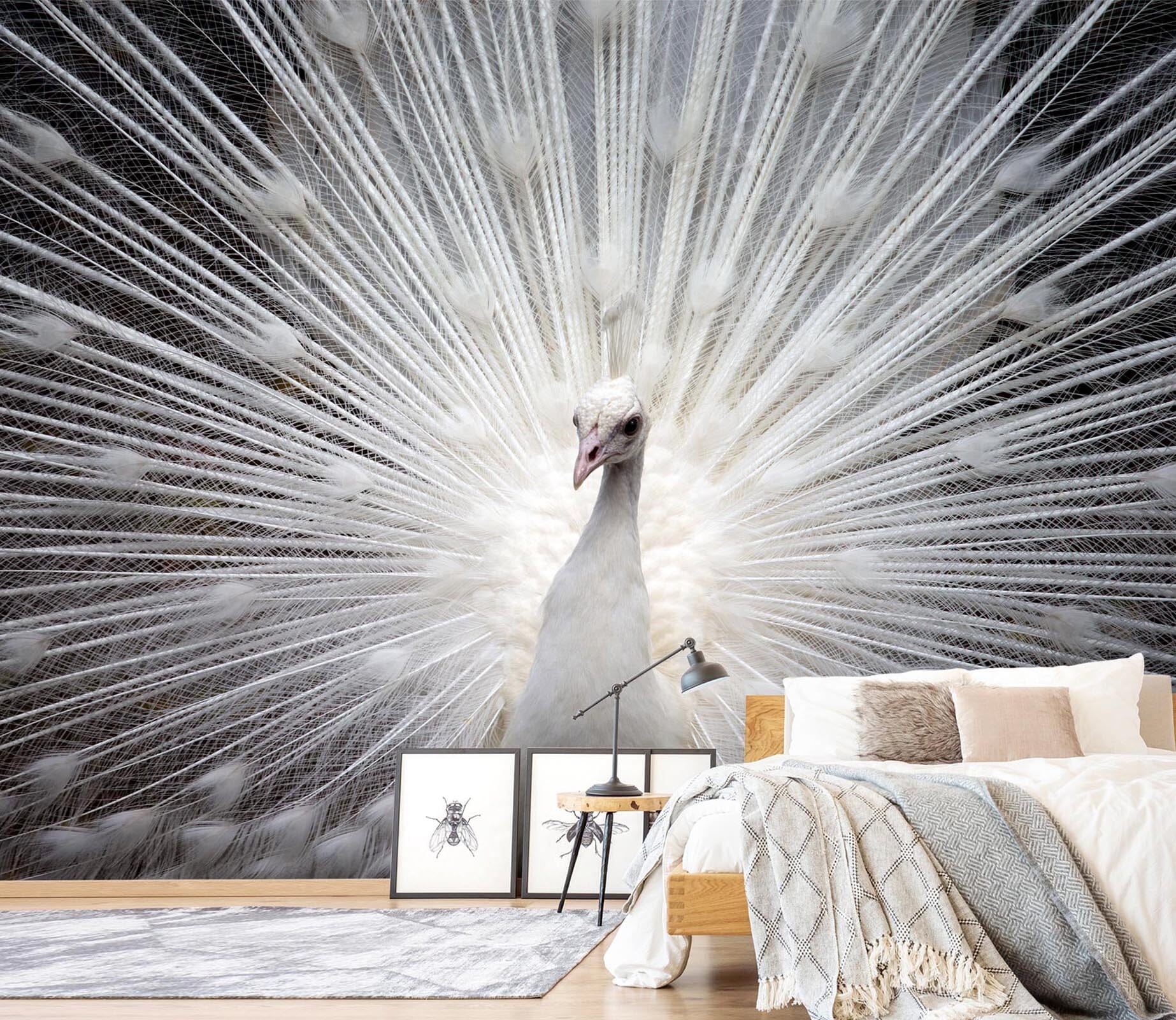 3D White Peacock 408 Wall Murals Wallpaper AJ Wallpaper 2 