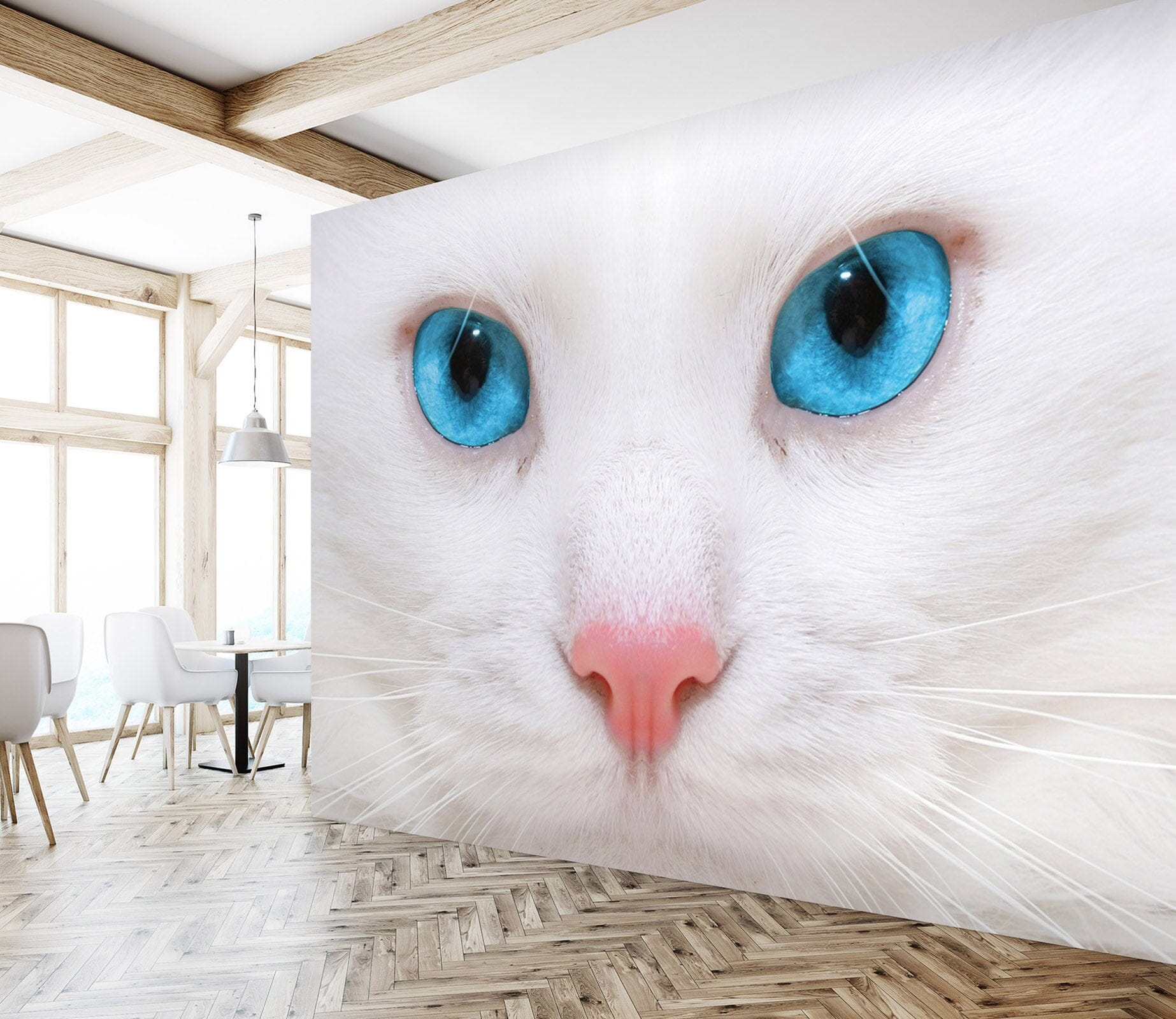 3D White Kitten 220 Wall Murals Wallpaper AJ Wallpaper 2 