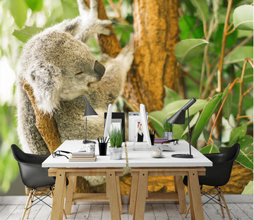 3D Cute Koala 308 Wall Murals