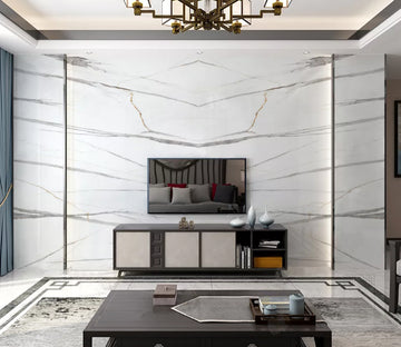 3D Line Stripes WC2515 Wall Murals