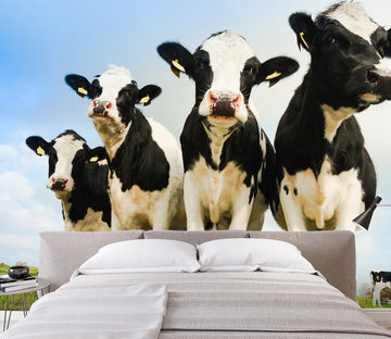 3D Cow Herd 405 Wall Murals