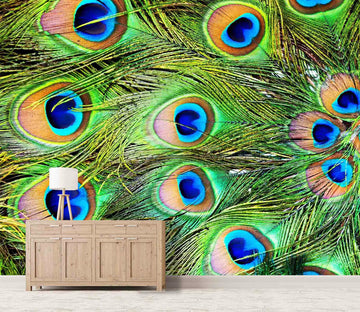 3D Peacock Feather 0090 Wall Murals
