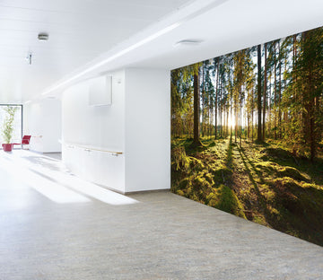 3D Forest Lawn 206 Wall Murals