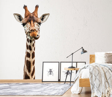 3D Giraffe's Head 156 Animals Wall Stickers Wallpaper AJ Wallpaper 