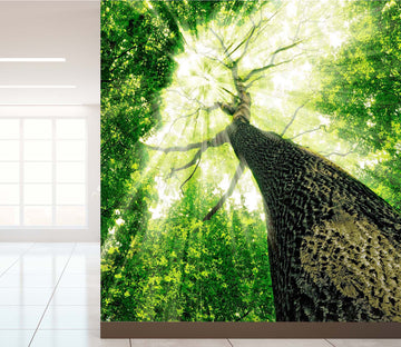 3D Landscape Tree 012 Wall Murals