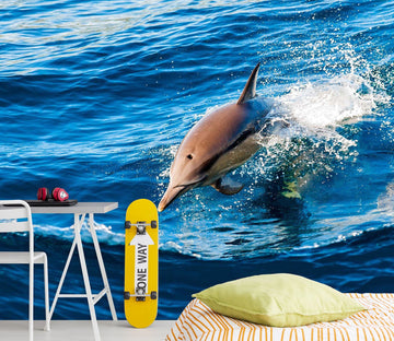 3D Happy Dolphin 2030 Wall Murals Wallpaper AJ Wallpaper 2 