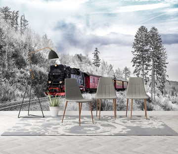 3D Woods Train 063 Vehicle Wall Murals
