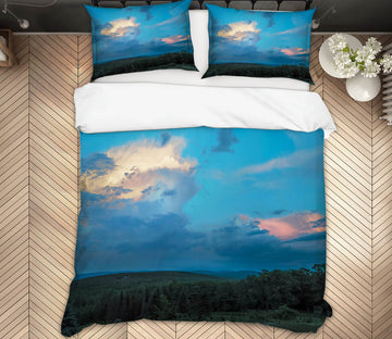 3D Blue Sky 86020 Jerry LoFaro bedding Bed Pillowcases Quilt
