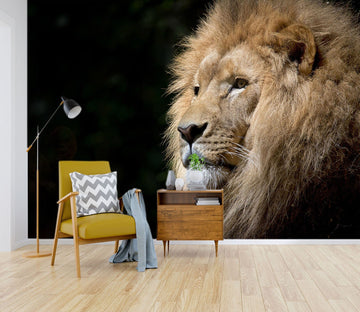 3D Mighty Lion 163 Wall Murals Wallpaper AJ Wallpaper 2 