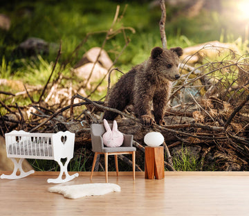 3D Small Cub 140 Wall Murals Wallpaper AJ Wallpaper 2 