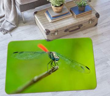 3D Dragonfly 83183 Assaf Frank Rug Non Slip Rug Mat
