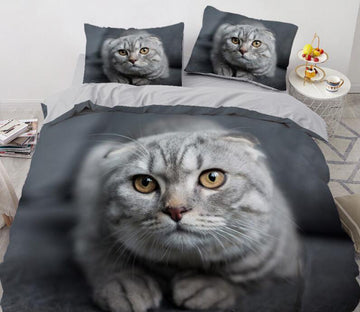 3D Grey Tabby Cat 77115 Bed Pillowcases Quilt