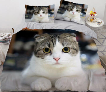 3D Fold-Eared Cat 77122 Bed Pillowcases Quilt