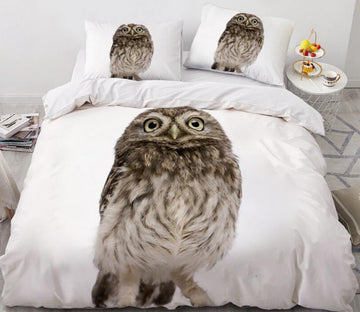3D Silly Owl 081 Bed Pillowcases Quilt
