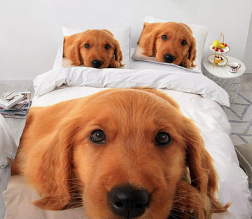 3D Golden Retriever Dog 7785 Bed Pillowcases Quilt