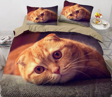 3D Fold-Eared Orange Cat 77111 Bed Pillowcases Quilt
