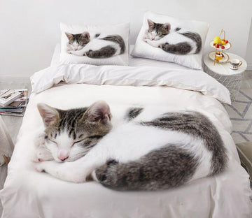 3D Cat Go To Bed 77131 Bed Pillowcases Quilt