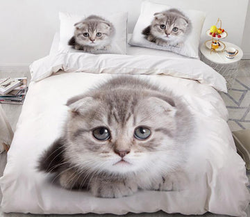 3D Gray Kitten 77120 Bed Pillowcases Quilt