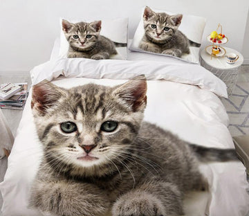 3D Gray Kitten 77117 Bed Pillowcases Quilt