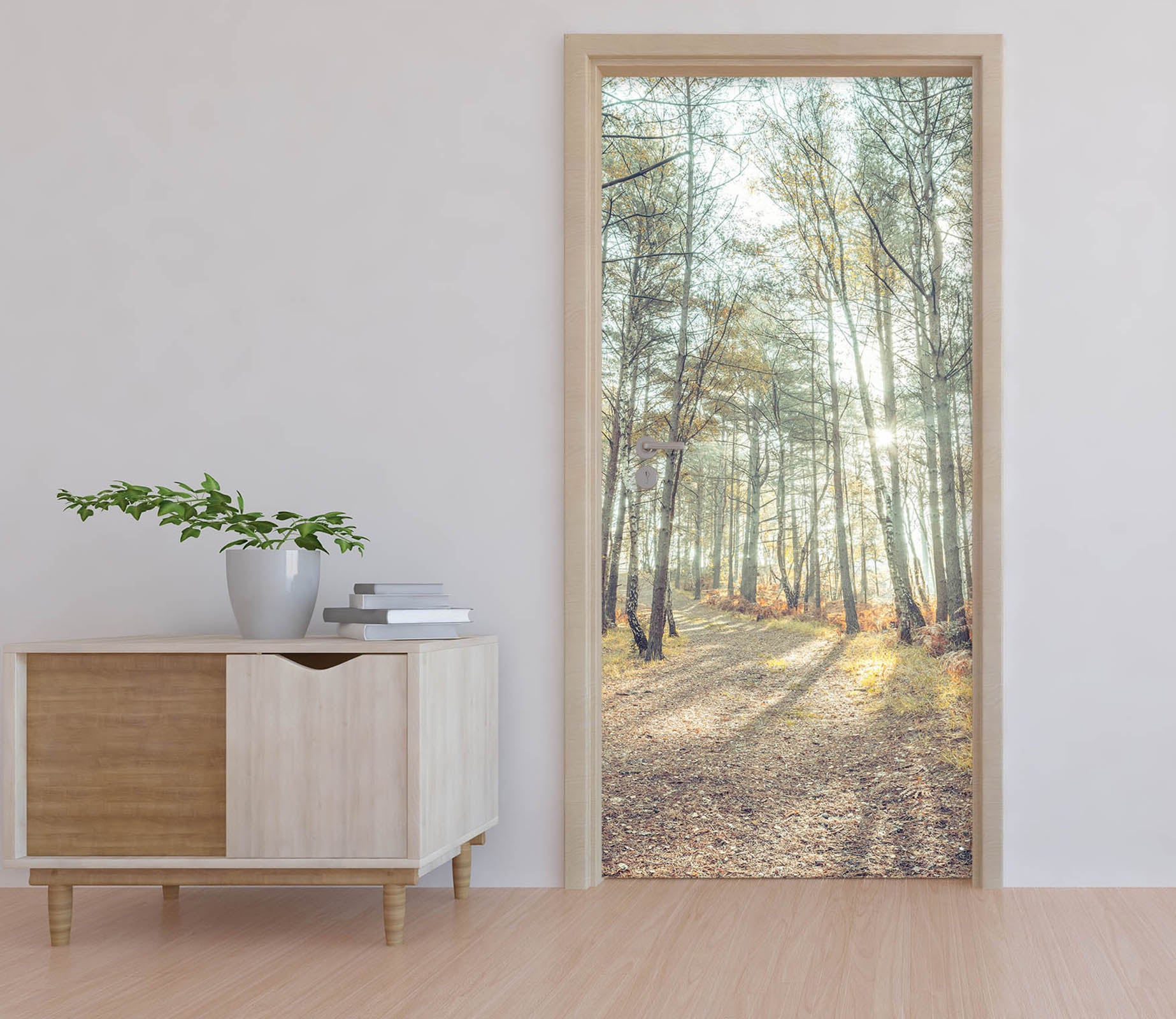 3D Sun Forest 5202 Assaf Frank Door Mural