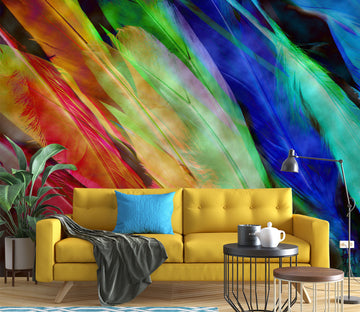3D Colored Feathers 70105 Shandra Smith Wall Mural Wall Murals