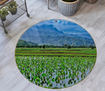 3D Paddy Farm 454 Kathy Barefield Rug Round Non Slip Rug Mat