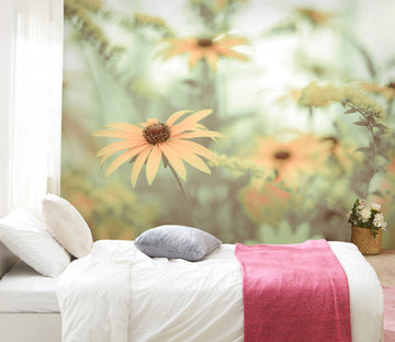 3D Orange Daisy 6214 Assaf Frank Wall Mural Wall Murals