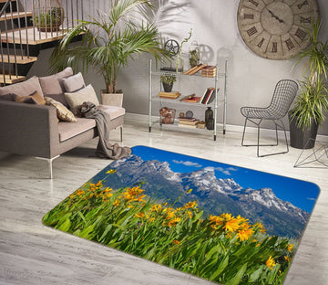3D Mountain Wildflowers 1118 Kathy Barefield Rug Non Slip Rug Mat Mat AJ Creativity Home 
