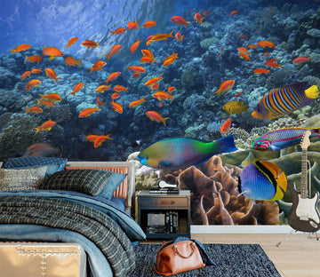3D Sea Fish 58159 Wall Murals