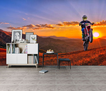 3D Motocross Sunset 119 Vehicle Wall Murals