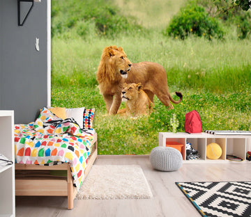 3D Lion Park 349 Wall Murals Wallpaper AJ Wallpaper 2 