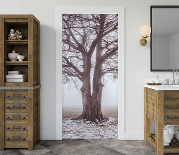 3D Hazy Forest 5128 Assaf Frank Door Mural