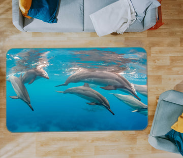 3D Dolphin 38163 Animal Non Slip Rug Mat