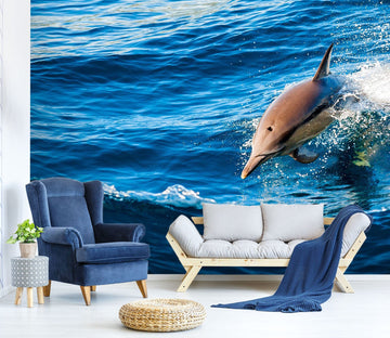 3D Cute Dolphin 113 Wall Murals Wallpaper AJ Wallpaper 2 