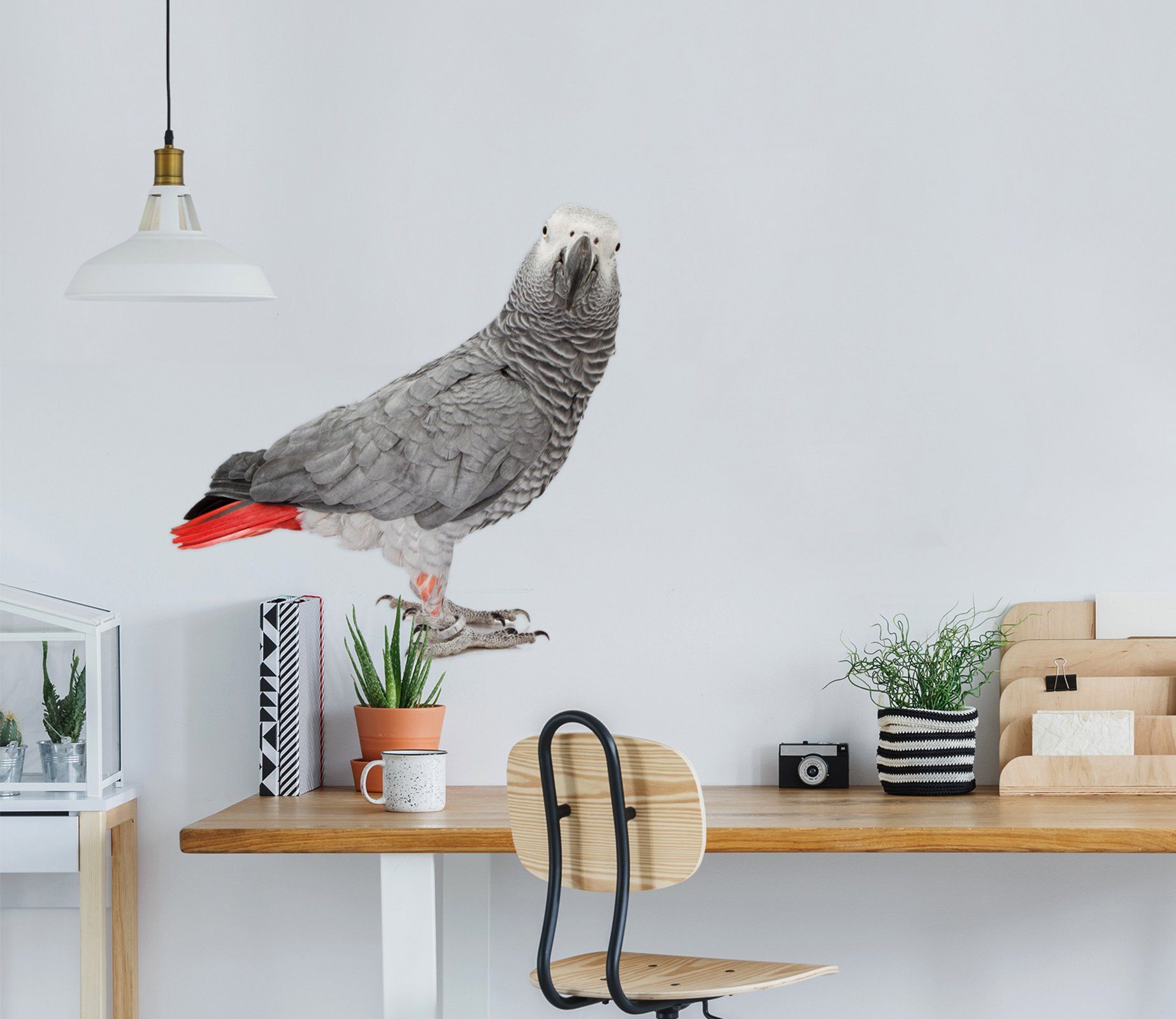 3D Bird Turning Head 165 Animals Wall Stickers Wallpaper AJ Wallpaper 