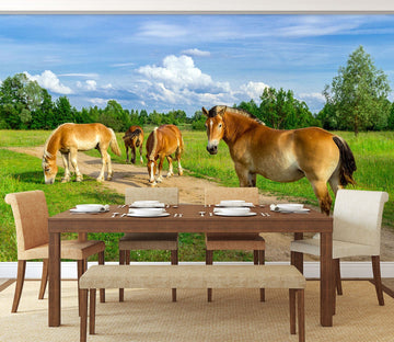 3D Lawn Horse 175 Wall Murals Wallpaper AJ Wallpaper 2 