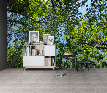 3D Tree 58172 Wall Murals