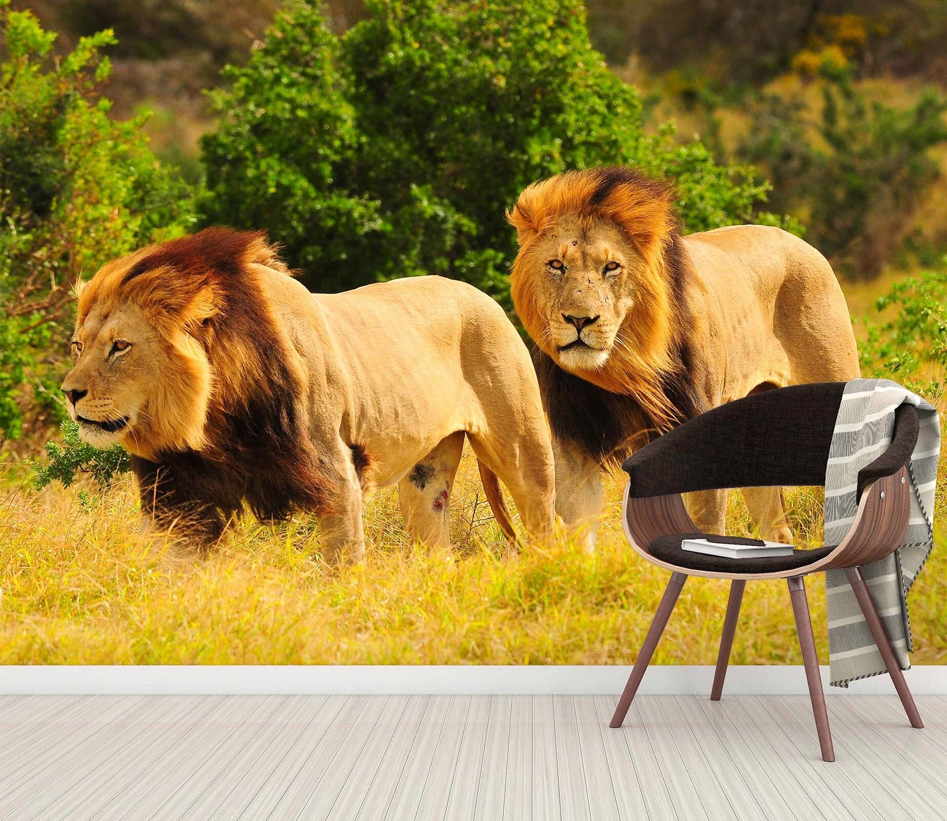 3D African Lion 367 Wall Murals Wallpaper AJ Wallpaper 2 
