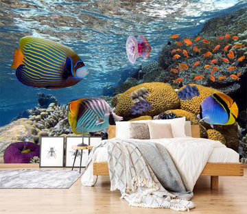 3D Submarine Fish 641 Wallpaper AJ Wallpaper 2 