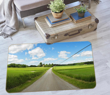 3D Grass Path 75272 Non Slip Rug Mat