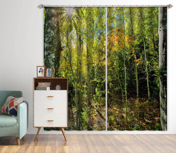 3D Trees 61215 Kathy Barefield Curtain Curtains Drapes