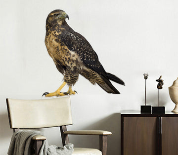 3D Eagle Mouth 154 Animals Wall Stickers Wallpaper AJ Wallpaper 