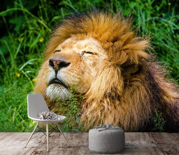 3D Big Lion 129 Wall Murals Wallpaper AJ Wallpaper 2 