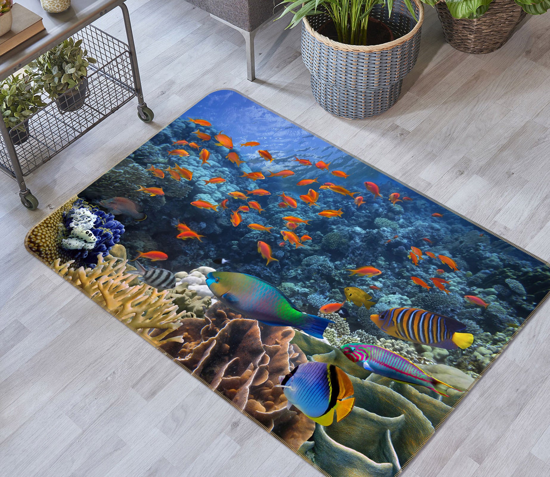 3D Coral School Of Fish 34151 Non Slip Rug Mat