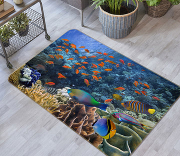 3D Coral School Of Fish 34151 Non Slip Rug Mat
