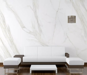 3D Black Line WC1941 Wall Murals