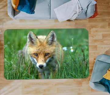 3D Meadow Fox 65075 Non Slip Rug Mat