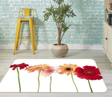 3D Fresh Daisies 1049 Kathy Barefield Rug Non Slip Rug Mat Mat AJ Creativity Home 